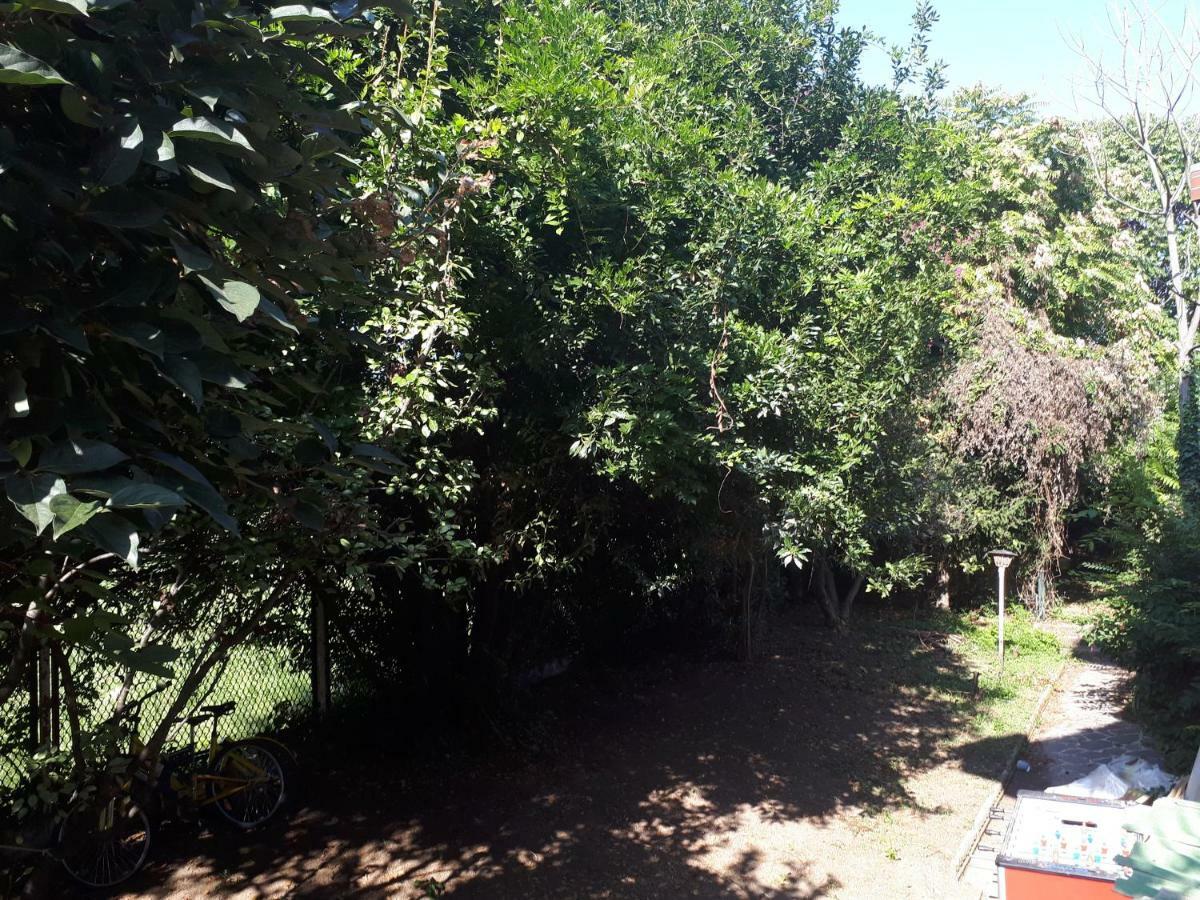 Maison d'hôtes La Casa Di Mango E Pistacchio *